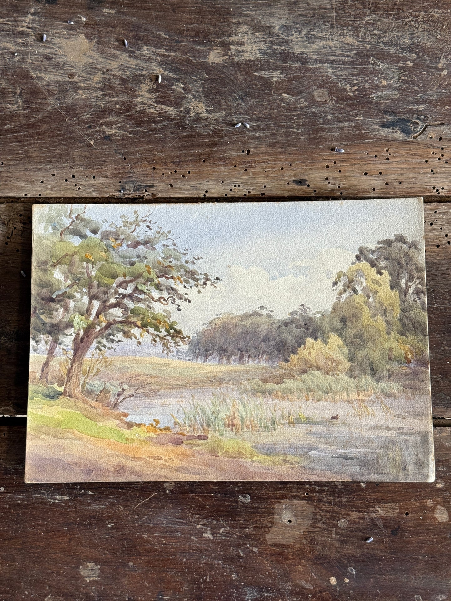 Original European Watercolor Paintings