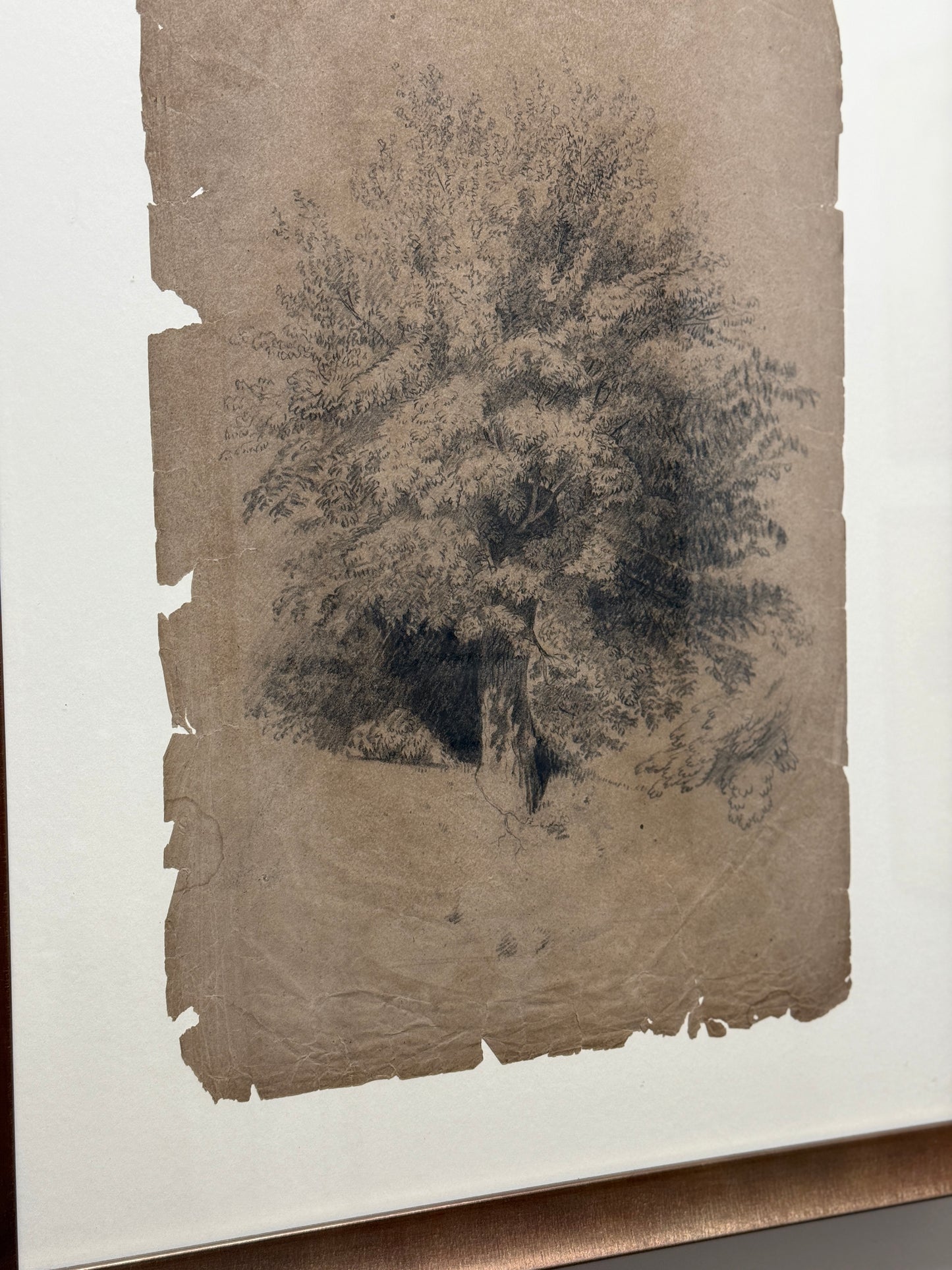 Antique Framed Sketch, Tattered Tree