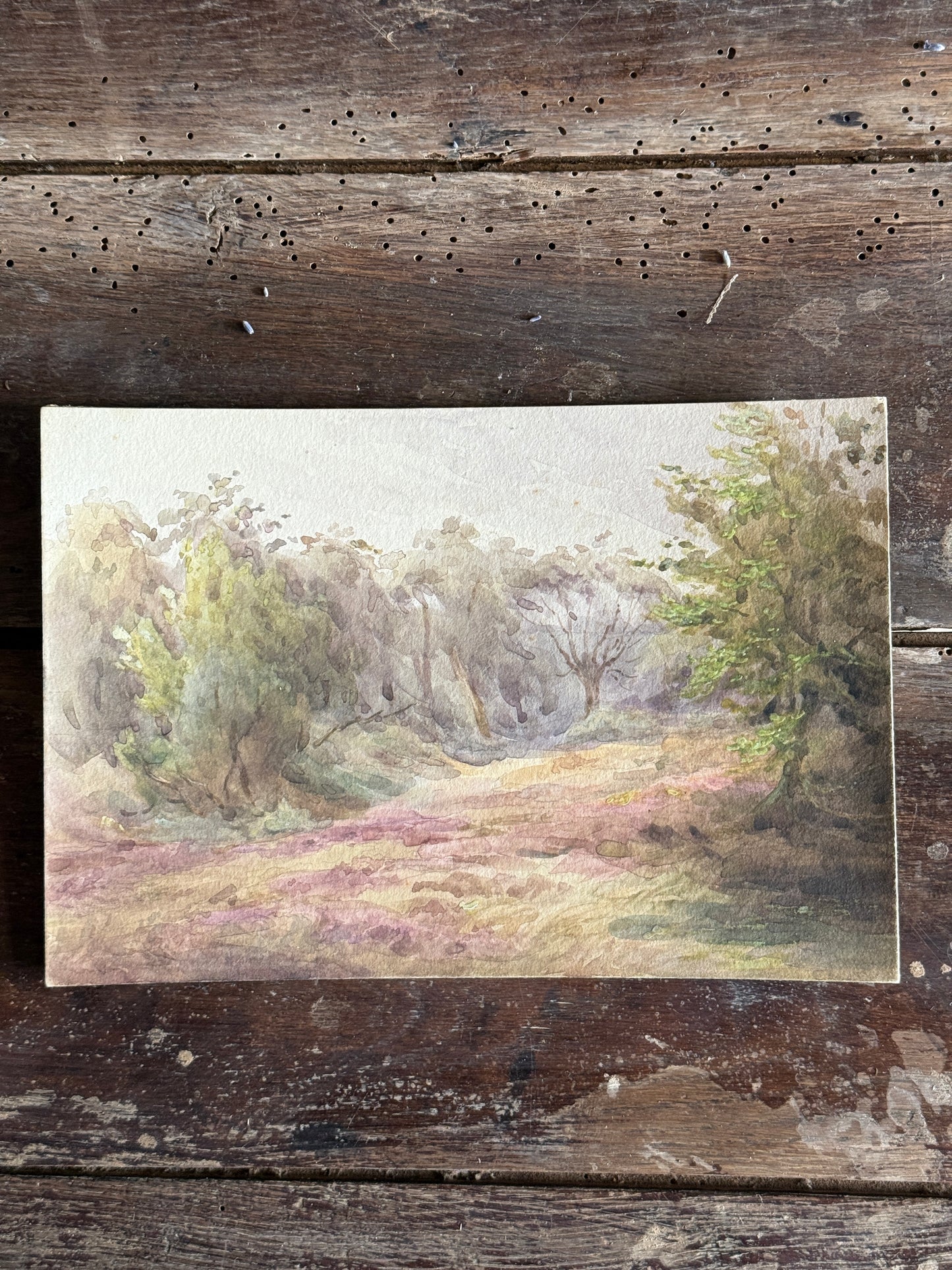 Original European Watercolor Paintings