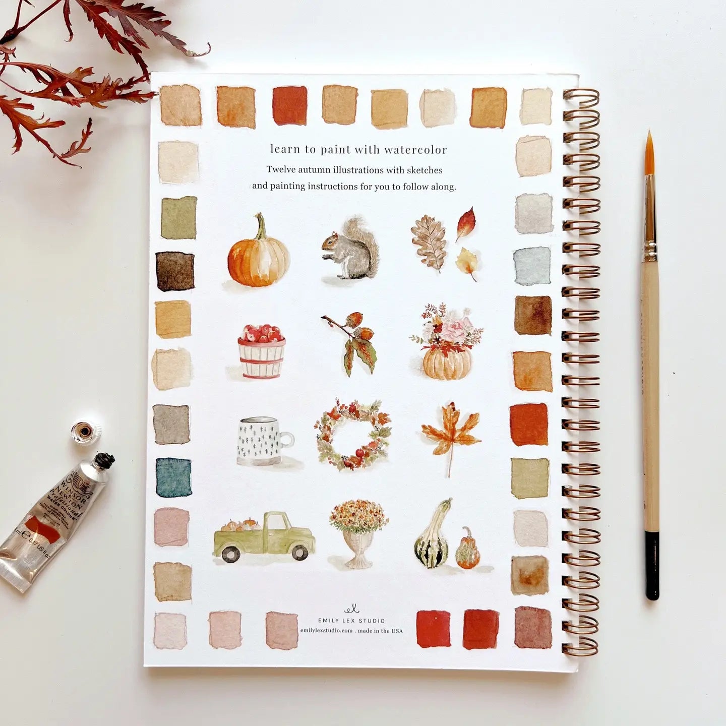 Watercolor Workbooks by Emily Lex