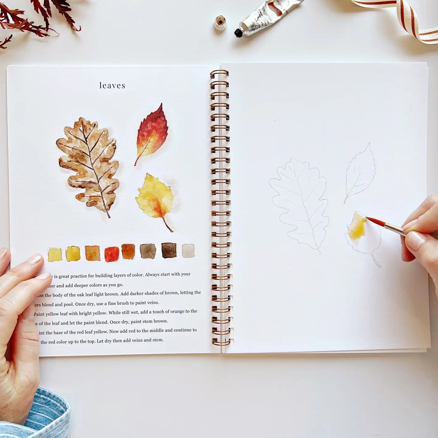 Watercolor Workbooks by Emily Lex