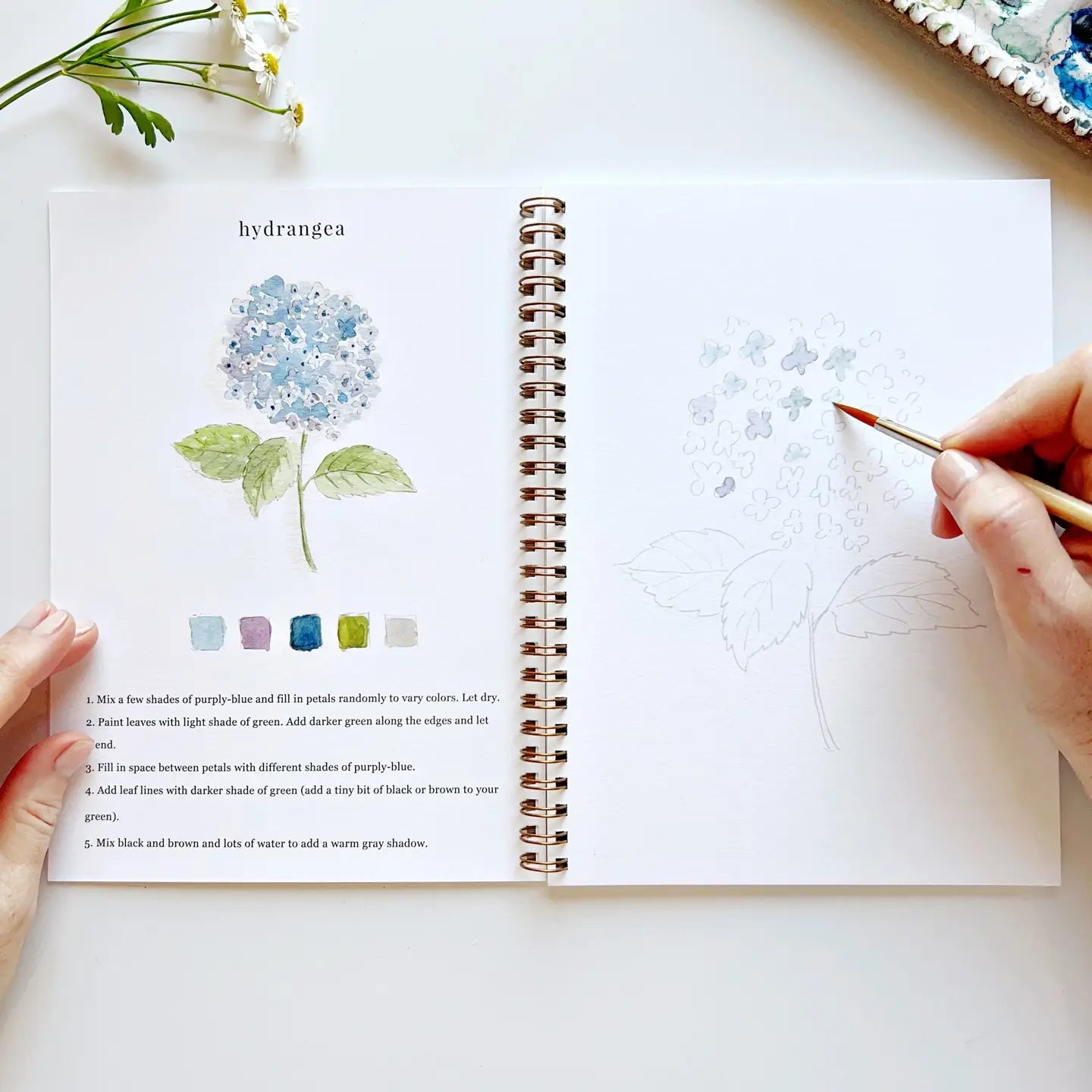 Watercolor Workbooks by Emily Lex