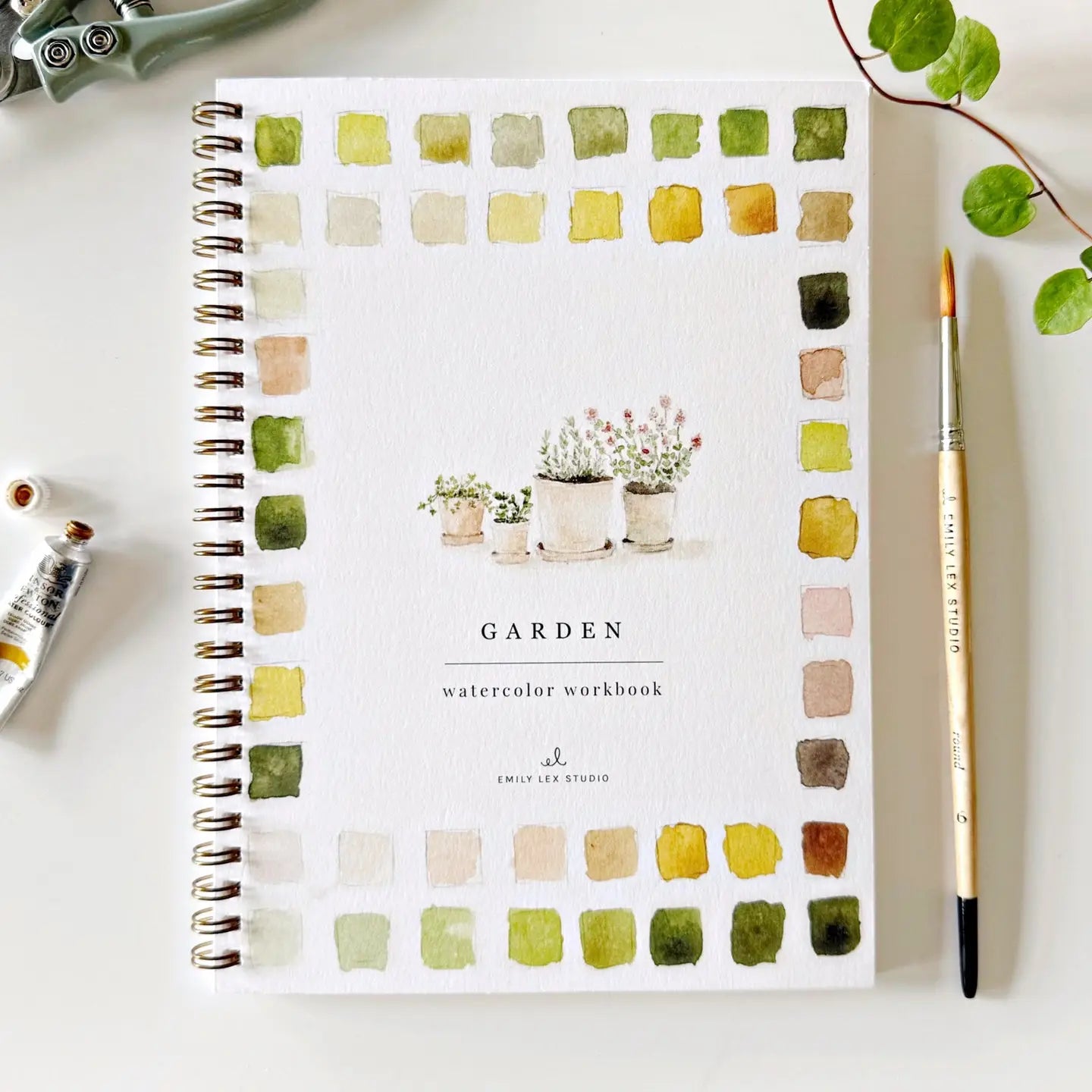 Watercolor Workbooks by Emily Lex