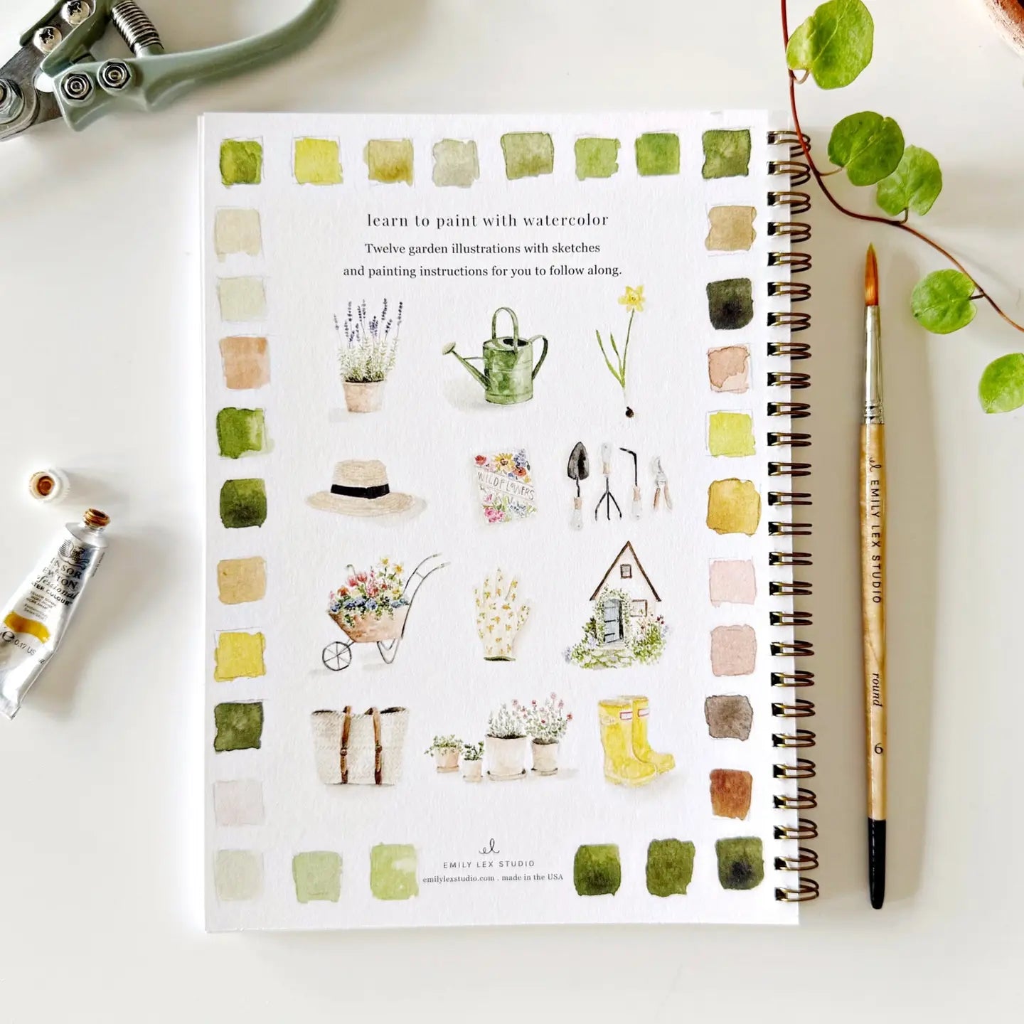 Watercolor Workbooks by Emily Lex