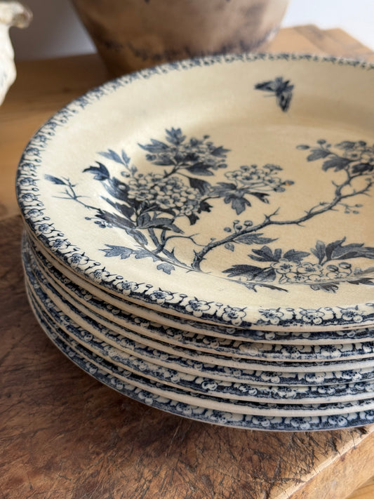 Set of 8 Antique Ironstone Plates