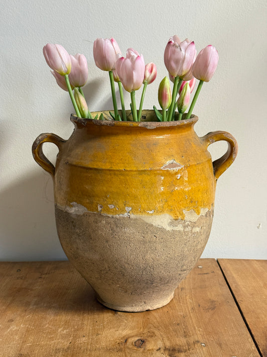 Antique Rare Yellow French Confit Pot