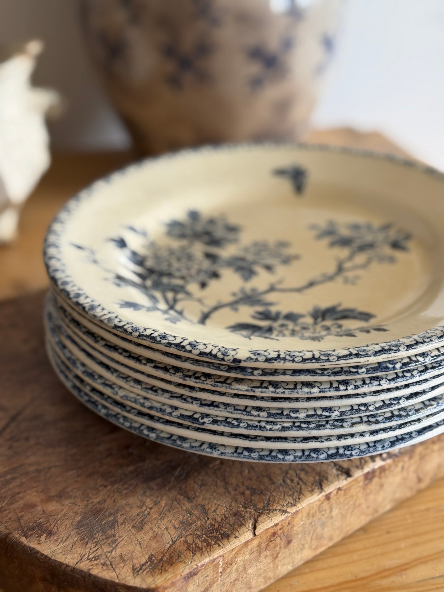 Set of 8 Antique Ironstone Plates