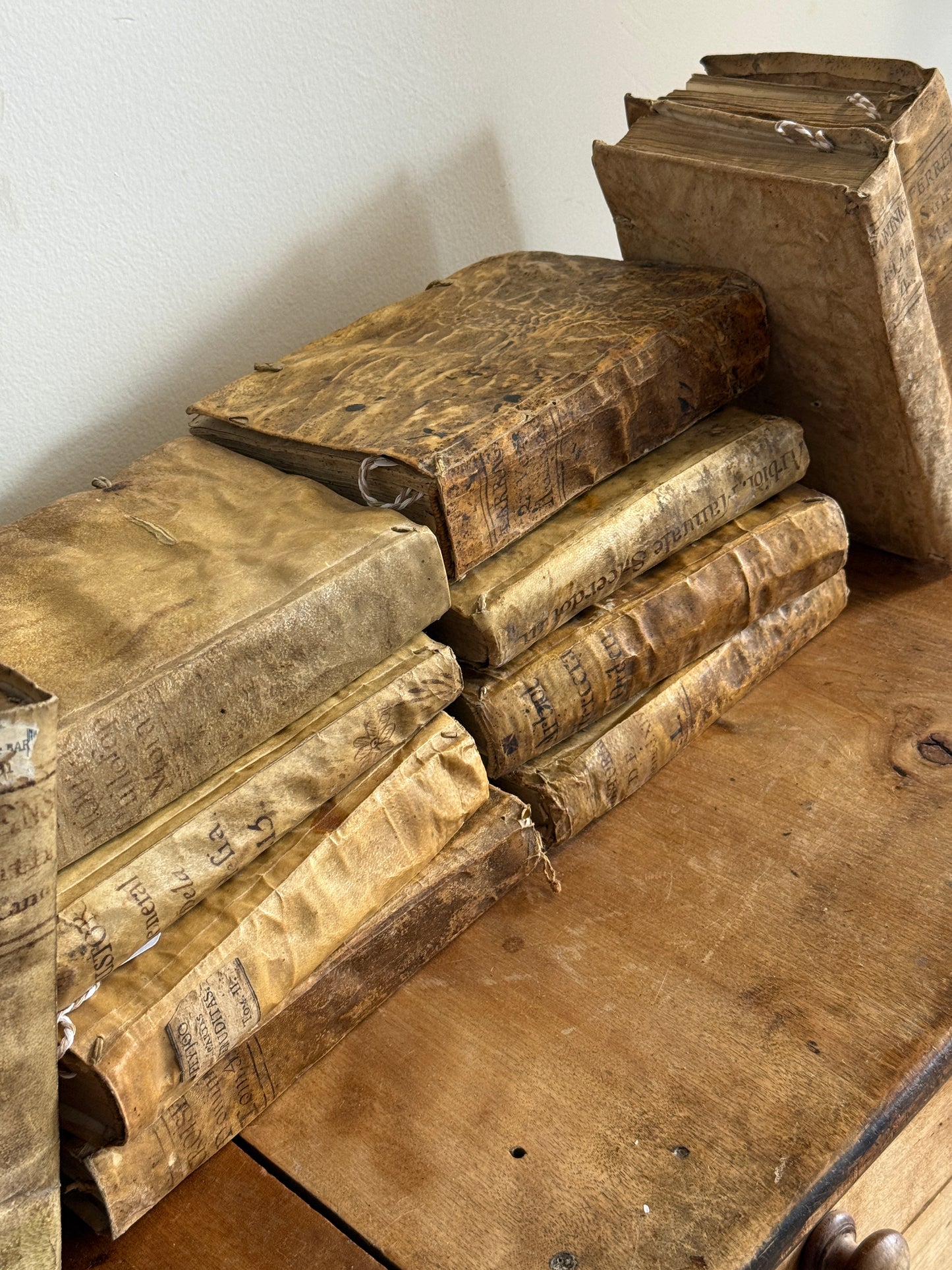 Antique Spanish Vellum Books
