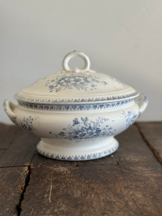 Antique Dutch Legiumere, Light Blue Floral Anna