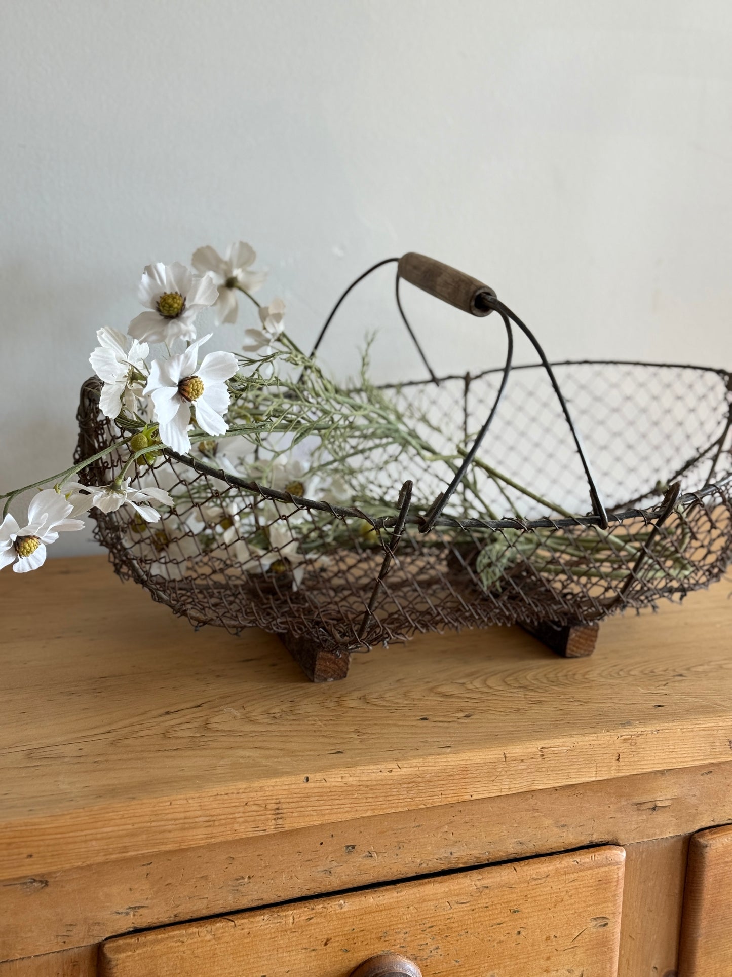 XL Antique French Oyster Basket