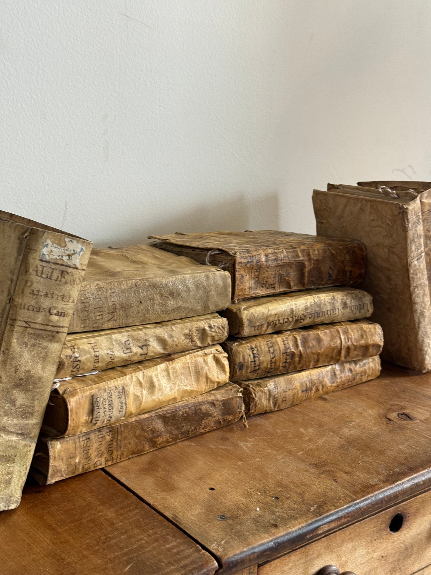 Antique Spanish Vellum Books