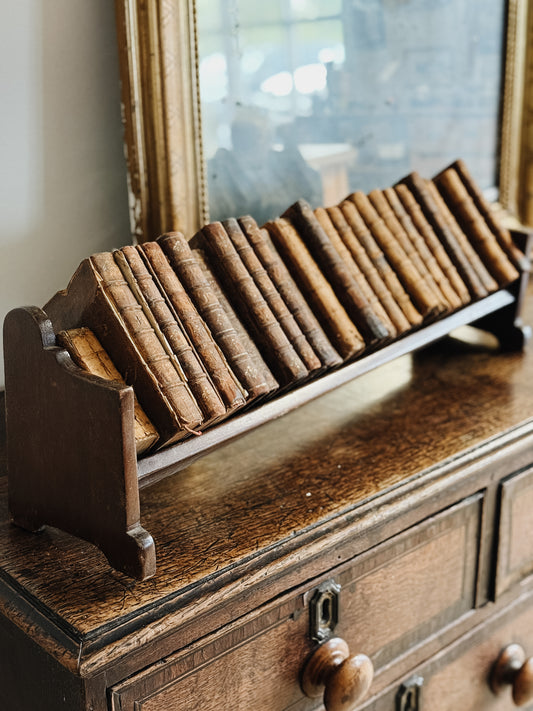 Set of 24 Books on Stand