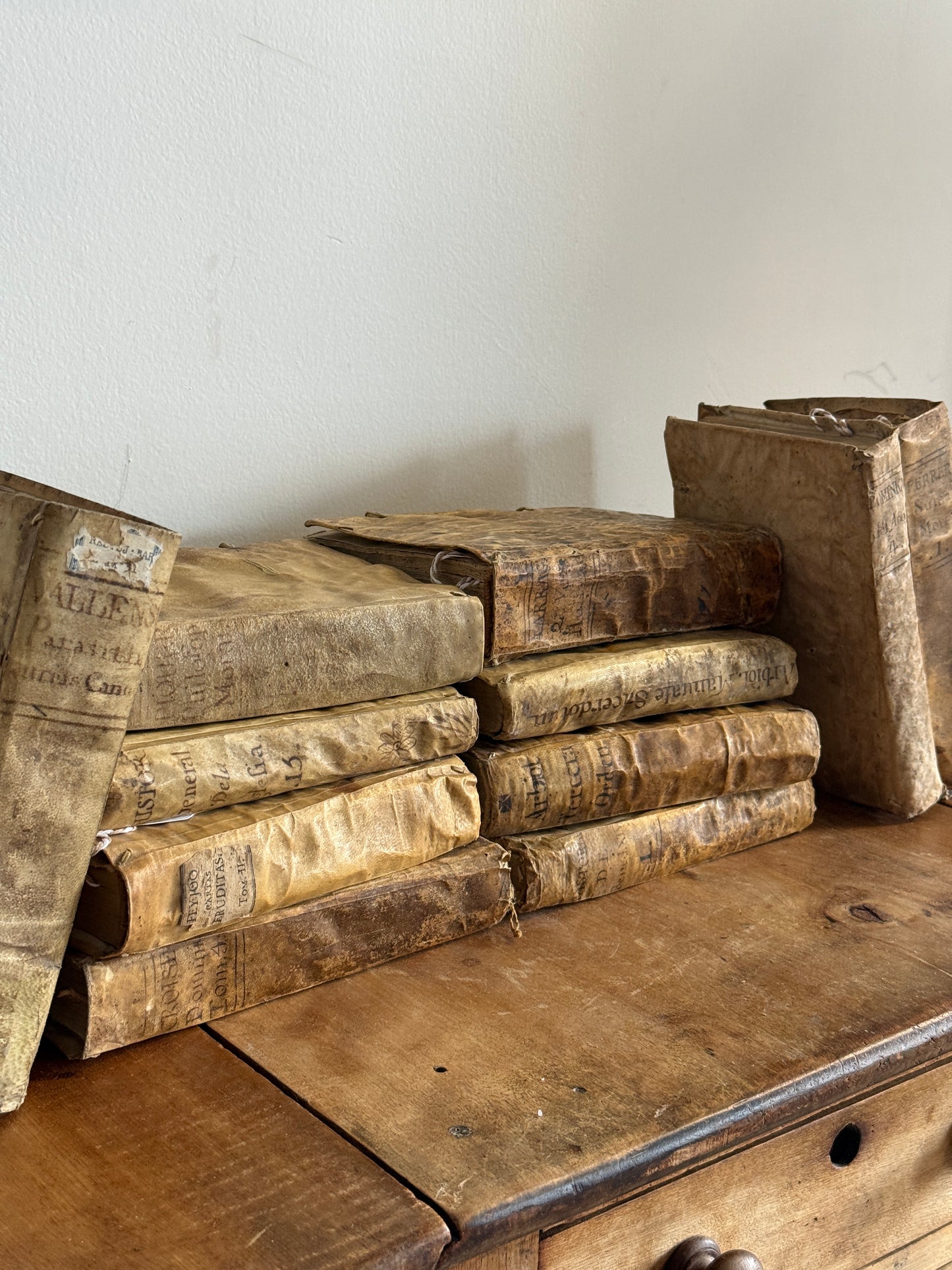 Antique Spanish Vellum Books