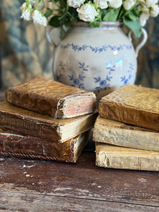 Rare Antique 18th Century Spanish Vellum Books