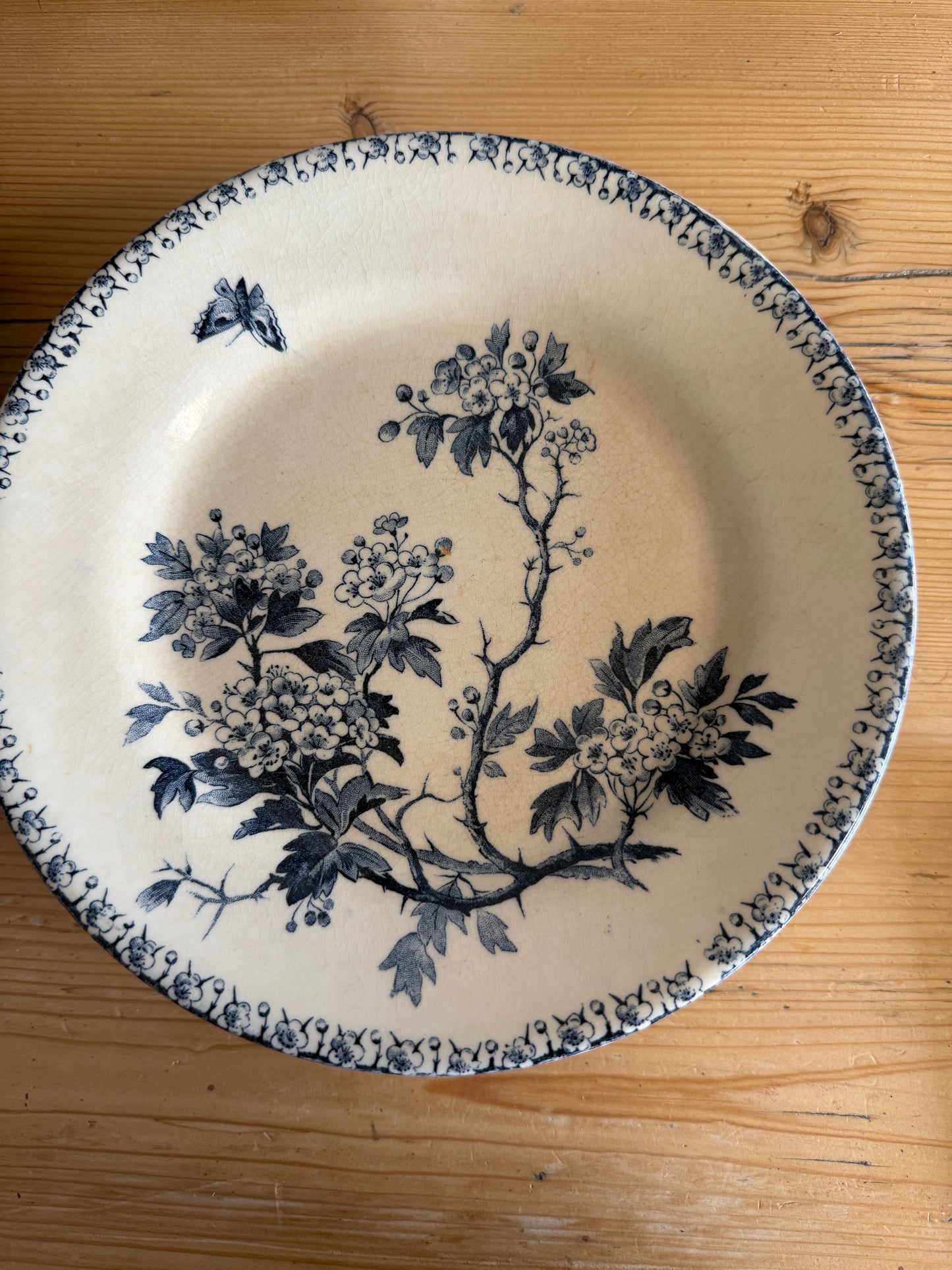 Set of 8 Antique Ironstone Plates
