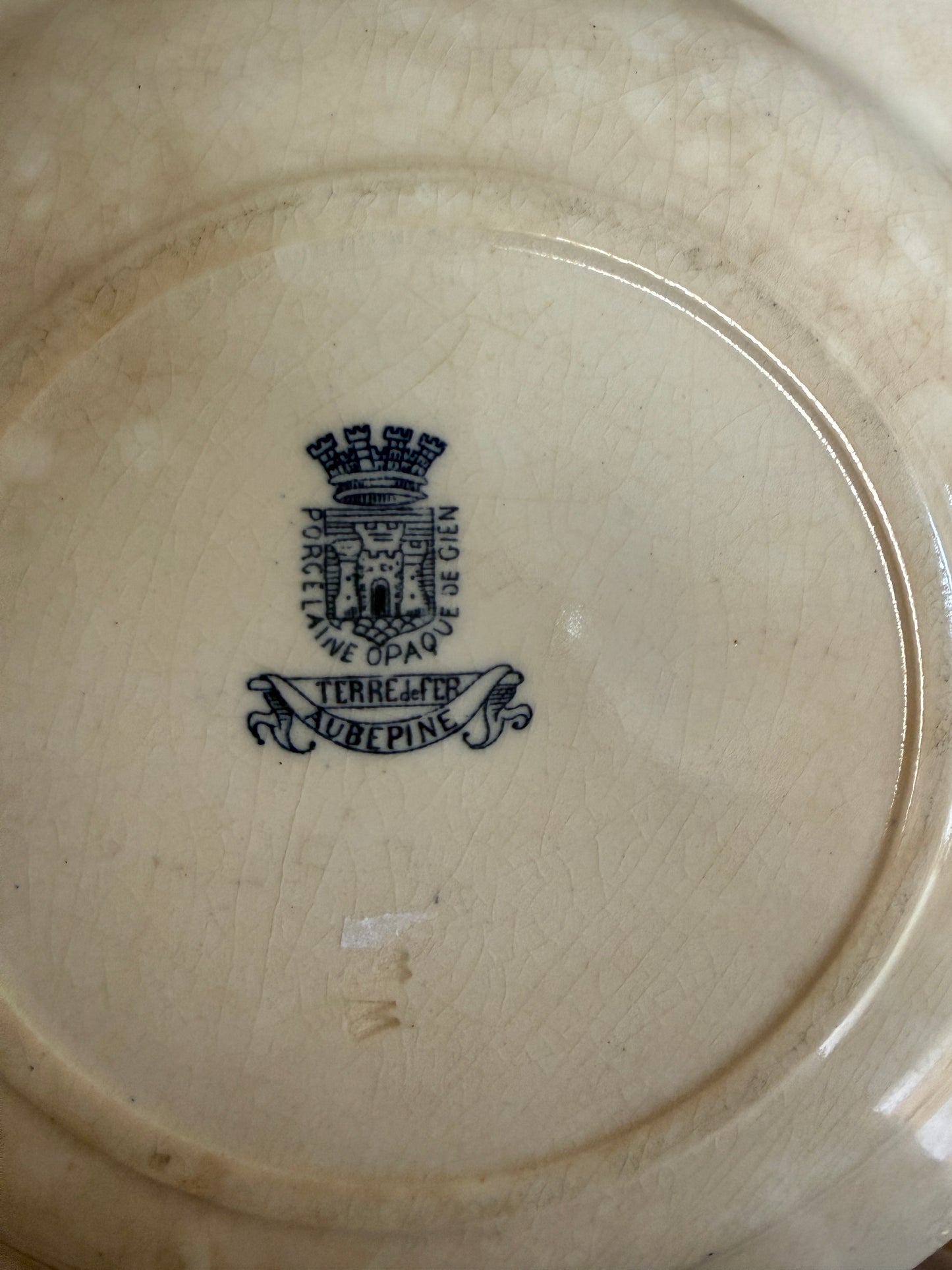 Set of 8 Antique Ironstone Plates