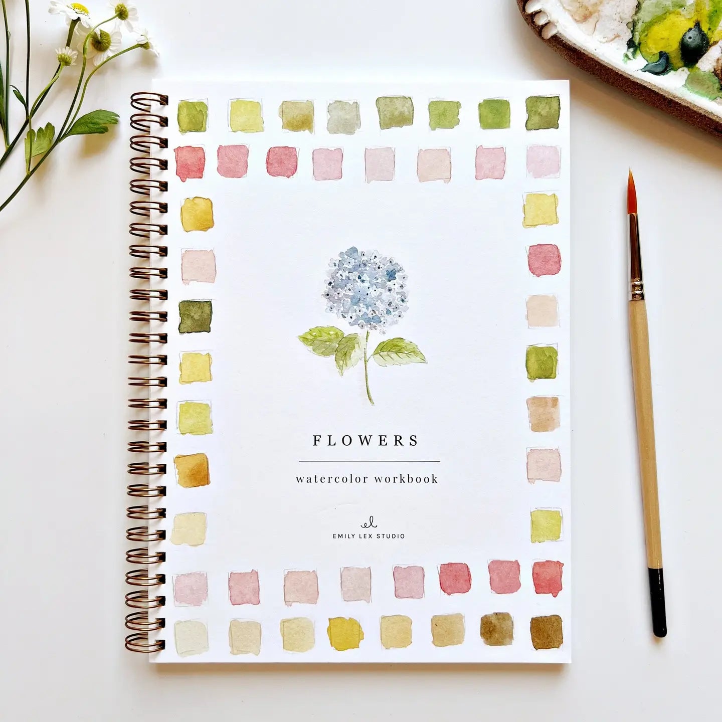 Watercolor Workbooks by Emily Lex