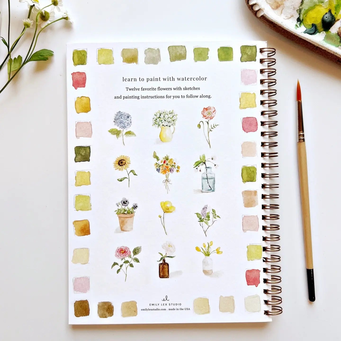 Watercolor Workbooks by Emily Lex