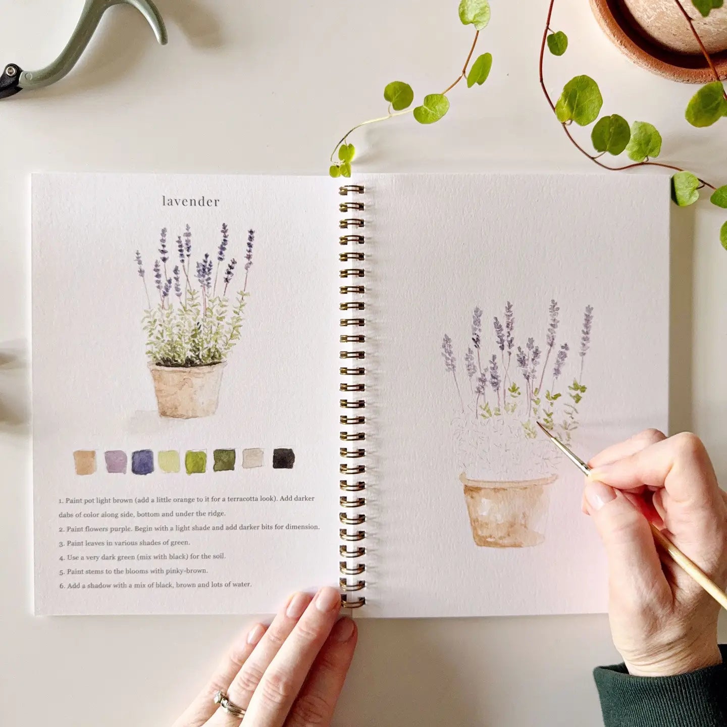 Watercolor Workbooks by Emily Lex